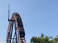IMG_1031
