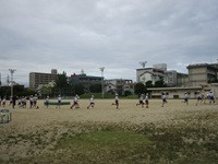 IMG_8762
