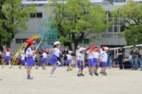 pict-IMG_0949