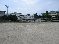 IMG_4924