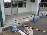 IMG_4921