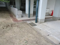 IMG_4922
