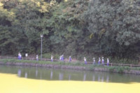 pict-IMG_4194