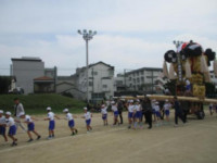 pict-pict-IMG_7048