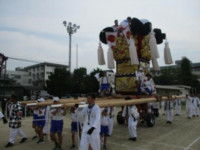 pict-pict-IMG_7050